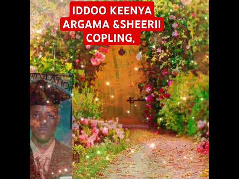 Farfannaa Afaan Oromoo Erga Guddaa Ofii Keessattii Qaba Ittii Eebbiiffama Faarfataa Ethio