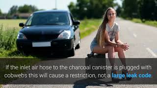 Smog Repair License Study Guide EVAP System