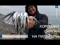 Хороший сарган на пилькеры!!! Поздняя осень. Сочи.