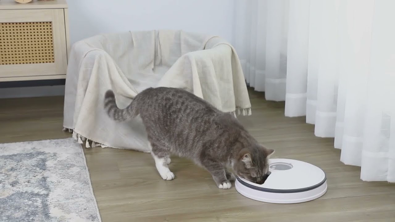 PAWHUT Distributeur de croquettes chat chien automatique