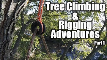 Tree Climbing and Rigging - Short Clips Part 1