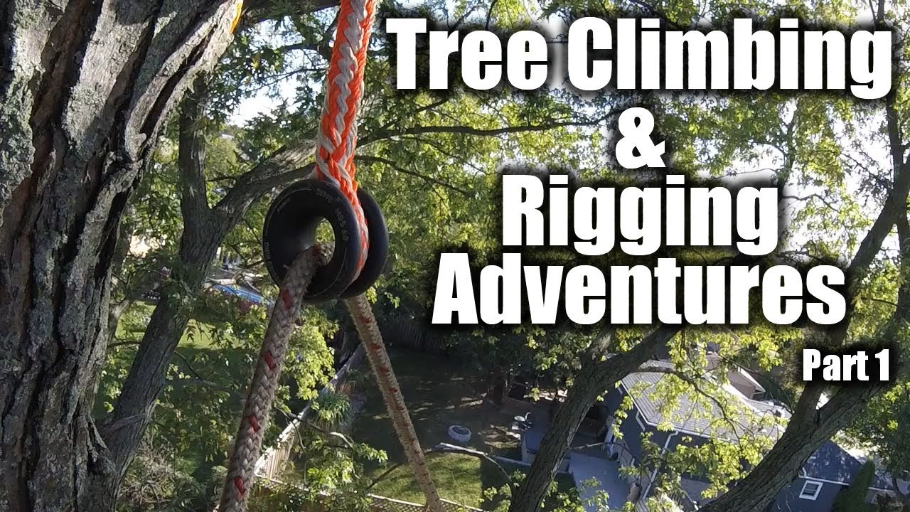 Tree Climbing and Rigging - Short Clips Part 1 
