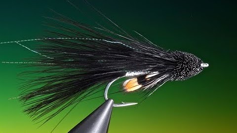 Fly Tying a Black marabou muddler streamer with Barry Ord Clarke