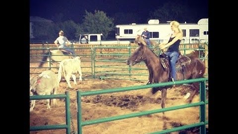 Woody Tee Up      ***For info, price, etc., go to our website*** Valley View Ranch