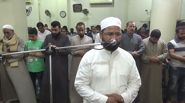 تلاوة من سورة فاطر من الآية 41 إلى آخر السورة  .. الشيخ طلعت على الدومى