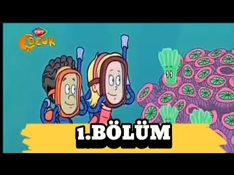 ŞAPKADAKİ KEDİ 1. BÖLÜM / TRT ÇOCUK