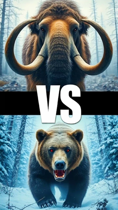 Woolly Mammoth vs Bear: Clash of Titans