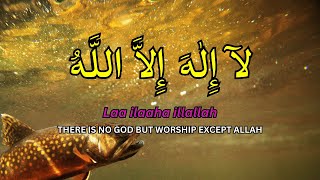 LAILAHAILLALLAH: Calming Islamic Dzikir for Relaxation, Stress Relief & Peaceful Sleep #25