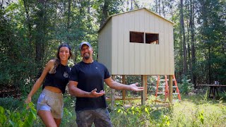 картинка: ОБНОВЛЕНИЯ SWAMP HOUSE | Дом без электросети вдали от дома