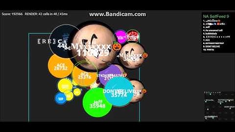 Alis.io - Self Feed Montage