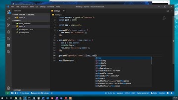 Express - Using Queries and Params