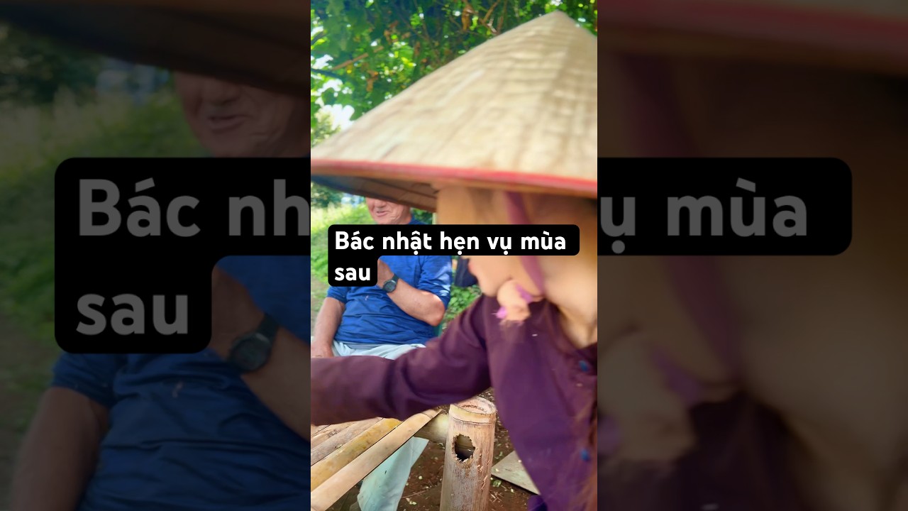 Quý ngừoi việt biết ngừoi việt thích lạc bác nói năm sau trồng nhiều nhé #minivlog