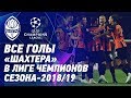 Все голы Шахтера в Лиге чемпионов – 2018/19. Суперудар Майкона и соло Тайсона