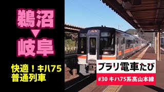 ブラリ電車たび#30 高山本線普通岐阜行に乗ったらキハ75だった！