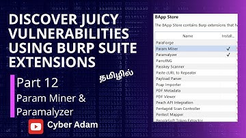 Discover Juicy vulnerabilities using Burp Suite extensions - Param Miner & Paramalyzer - Part 12