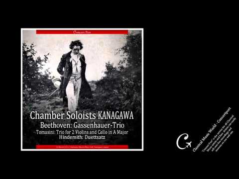 Chamber Soloists Kanagawa / Tomasini , Hindemith & Beethoven