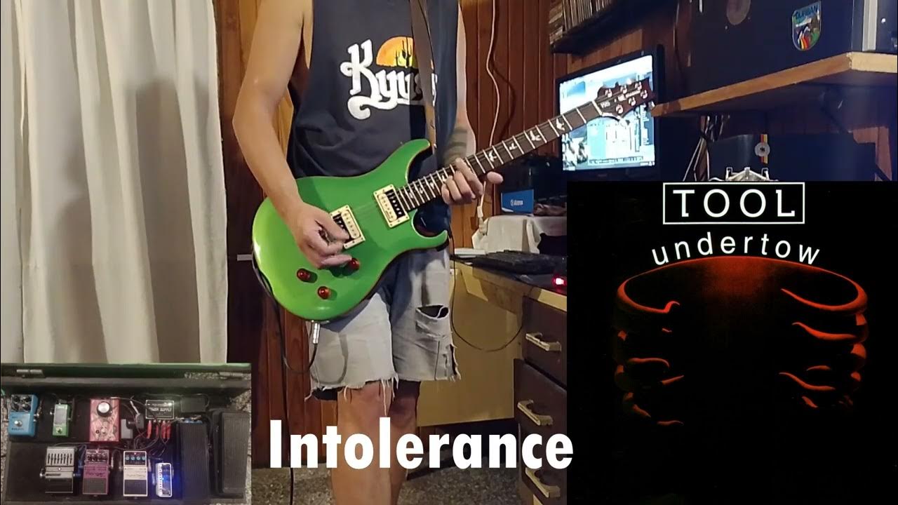 Tool Intolerance (Guitar Cover) PRS Se Standard 22 YouTube
