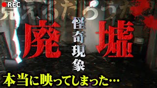 いま動いたの誰？「これは怖すぎる…」見知らぬ声と影がハッキリと見えてしまいました。ガチで怖すぎる心霊映像3選【 心霊動画 心霊スポット 都市伝説 】