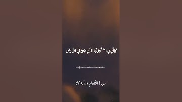 آياتٌ مختارةٌ مِنَ الذكرِ الحكيم سورةُ الأنعام (الآية٧١)#أهل_القرآن_الأبرار