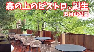 【池田・五月山'サファリビストロ'】オープン直後！緑に包まれた丘の上のレストランで絶景ランチでいただいた！