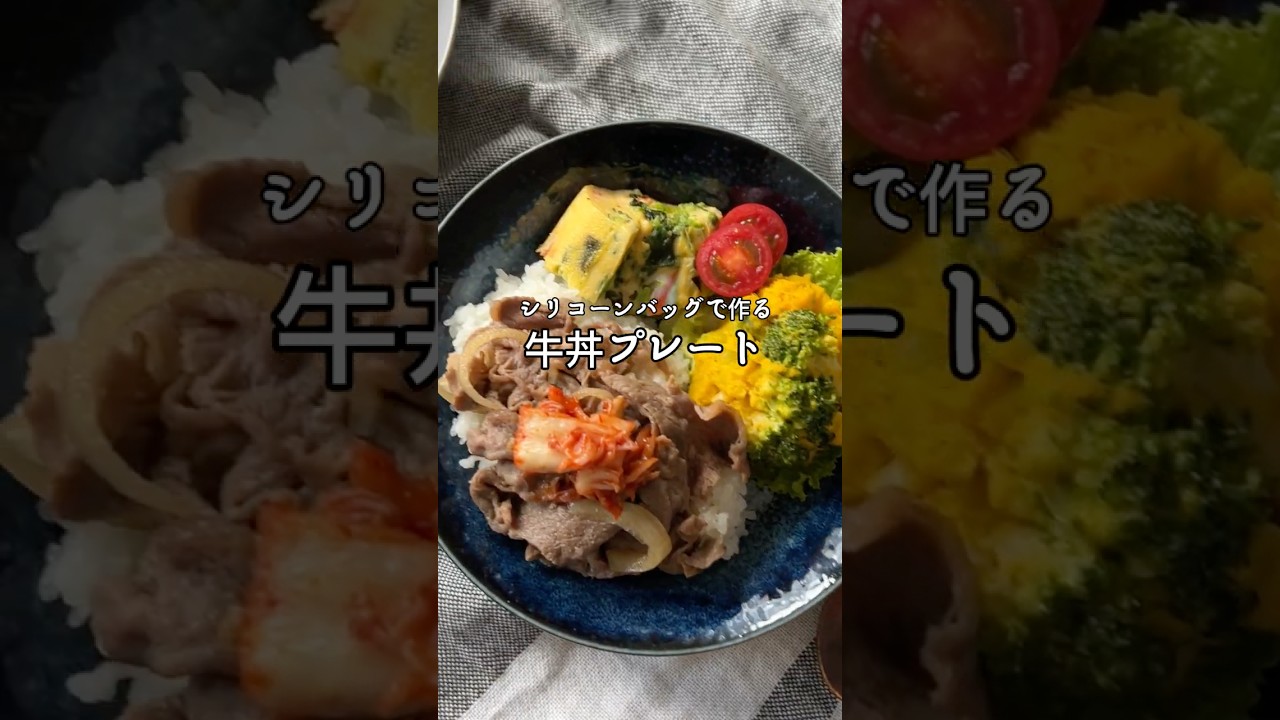 バッグ Kai シリコーン保存バッグ 薄型 700ml ベージュグレー | 貝印公式