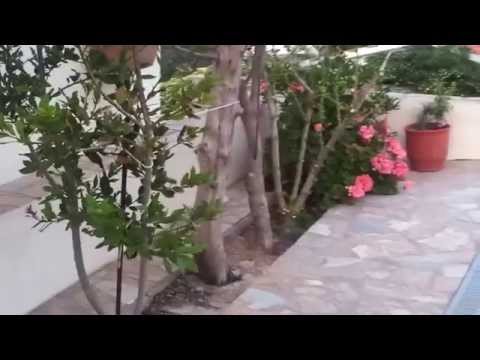 Ikaria rooms -