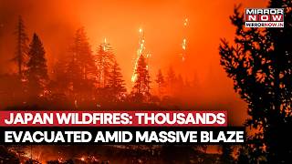 Japan Wildfires: 730 Hectares Burned, Over 3,000 Evacuated In Iwate Amid Massive Blaze