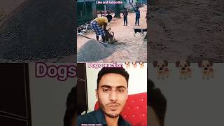 funny dogs reaction 🐕🐕#shortsfeed #dogshorts #dog #trend