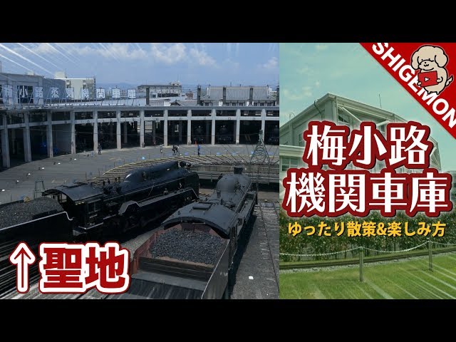 市川鉄狼　娯楽呉娩　紅梅円式帯止　共箱　MA316 市川鉄狼娯楽呉娩紅梅円式帯止共箱MA316