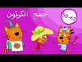 القطط الصغيرة تجميع الحلقات 58 62 الرسوم المتحركة للأطفال