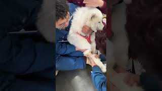 She Hates Blood Draw And She Resisted The Doctor With All Her Strength