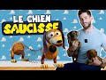 Le teckel un chien plein dnergie