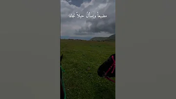 بدونك هذه الحياة فراغ 