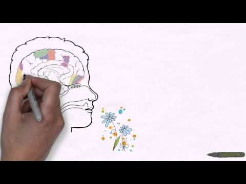 Video: Hvordan Sansene Våre Bedrar Oss - Alternativ Visning