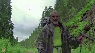 картинка: Горными тропами Карпат. 
