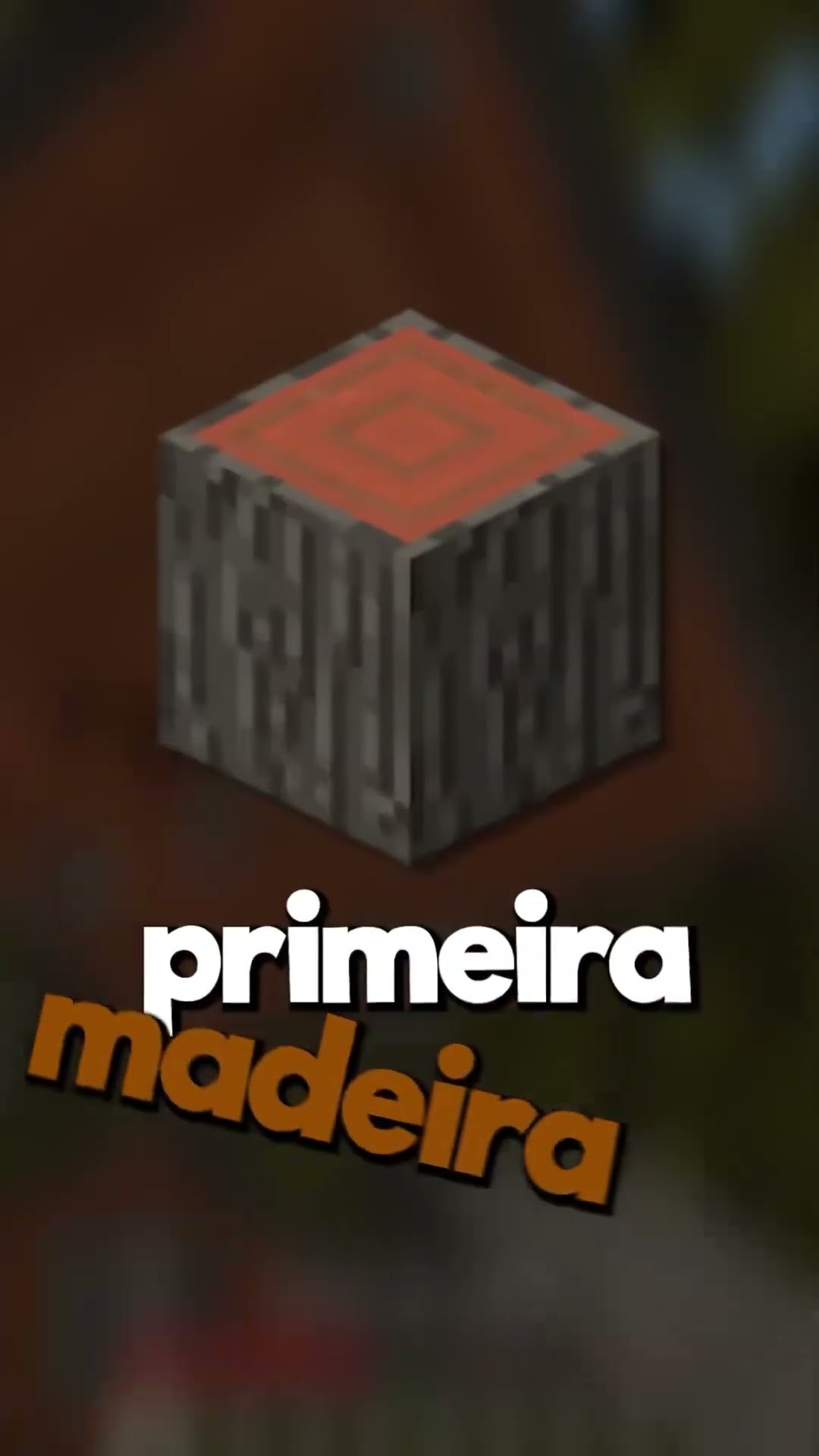 Minecraft, Mas Não Pode Encostar Nas Cores do ??2