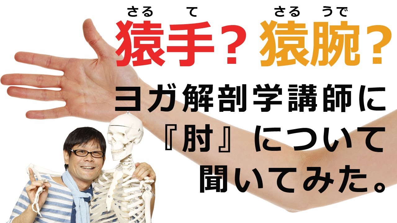 ホントは猿手じゃなくて猿腕かも？その違いをきちんと理解していますか？[ ヨガ解剖学の夜明け ]ヨガ解剖学講師：内田かつのり先生に「肘（ひじ ...