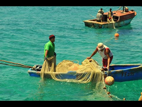 Publican Ley de Pesca en Cuba