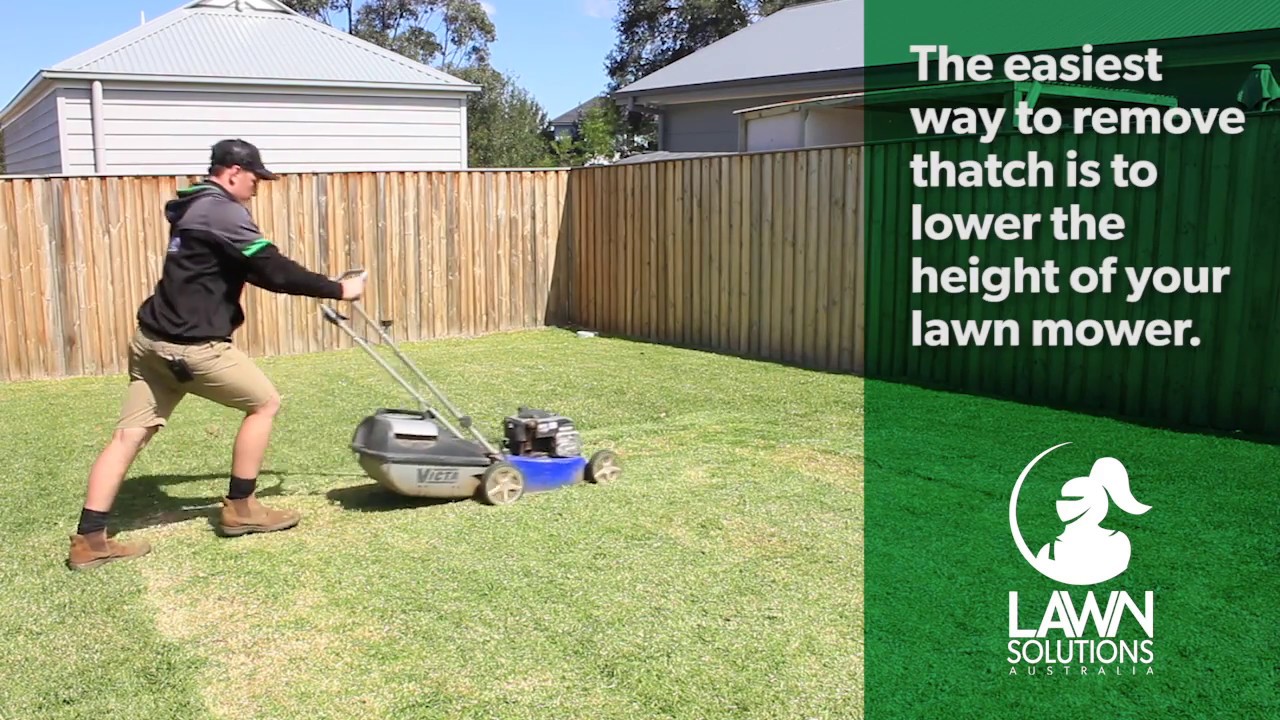 How To Remove Thatch From Your Lawn Dethatching Youtube