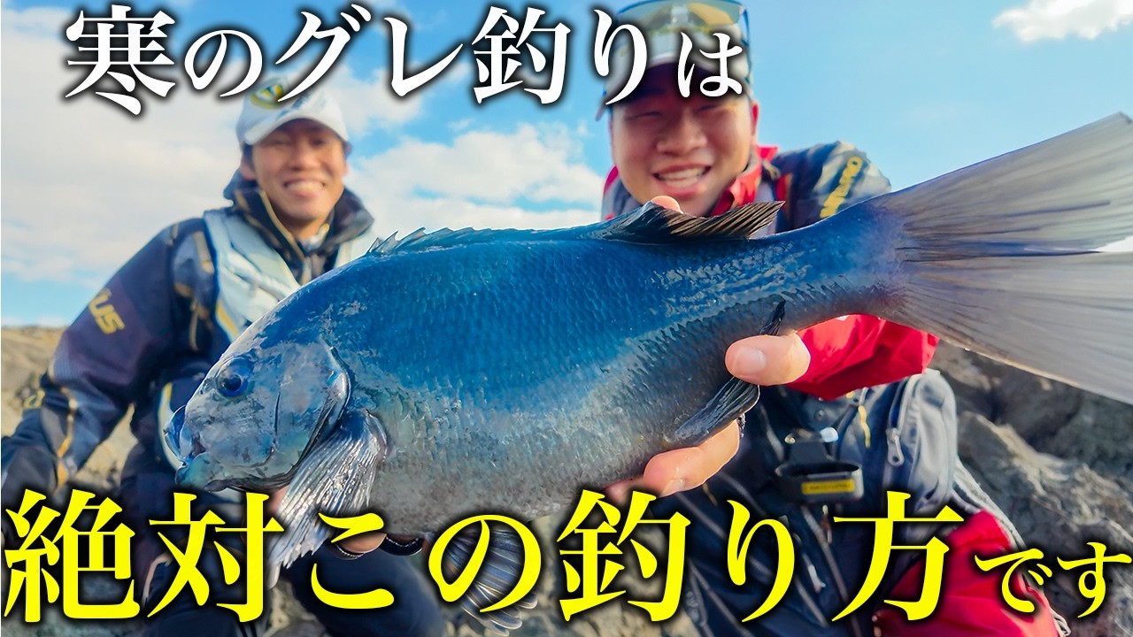【寒グレ】冬のグレ釣りはこの釣り方。石焼き芋作戦が1番釣れます。