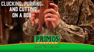 Learn How to Cluck, Purr, and Cut on a Box Call screenshot 3