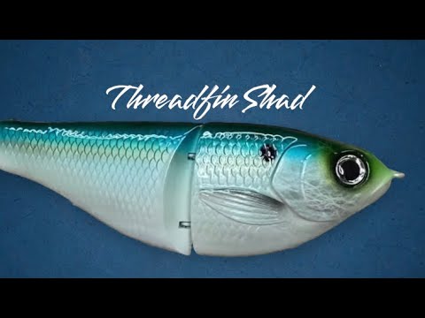 Fishing Ted's Bait & Tackle - Fishsurfing