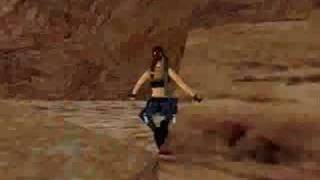 Nevada Swim Bug