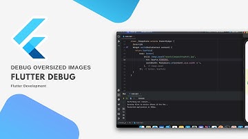 Flutter Debugging Oversized Images | debugInvertOversizedImage  | Flutter Bites