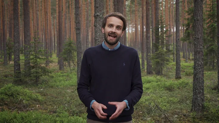 THE PLUS // Jan Christian Vestre about the world's...