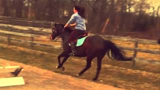 Galloping In The Ring