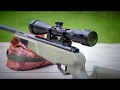 REVIEW: Stoeger ATAC S2 .22 Air Rifle - Gas Ram Break Barrel Garden Plinker