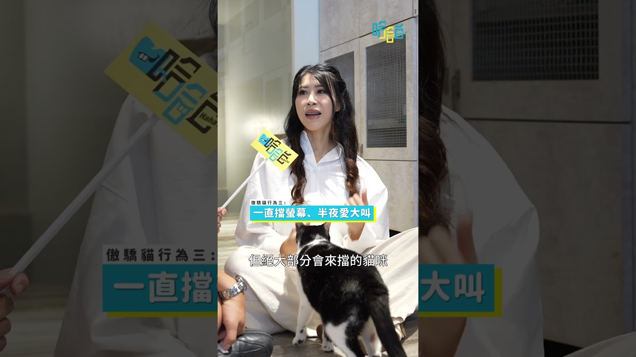 貓咪行為專家解釋主子們令人不解的行為... 縮圖