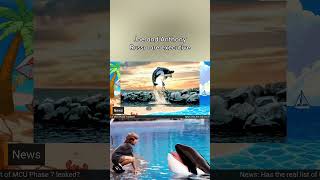 Free Willy is getting rebooted