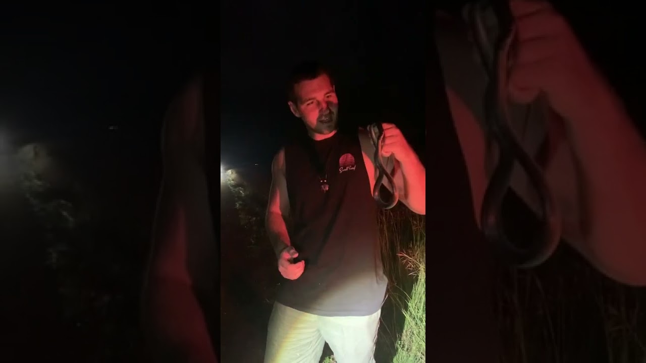 Learning with Luke (Slatey Grey Snake)